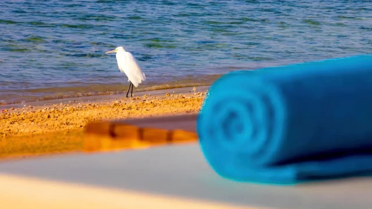 Hotel Zen Resort - Sahl Hashish